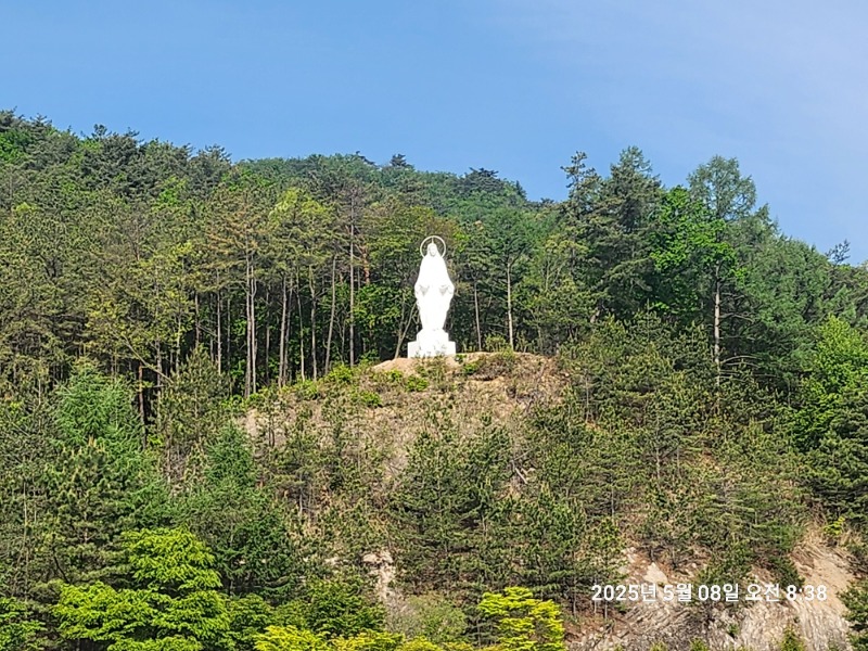 KakaoTalk_20250508_093637667_01.jpg