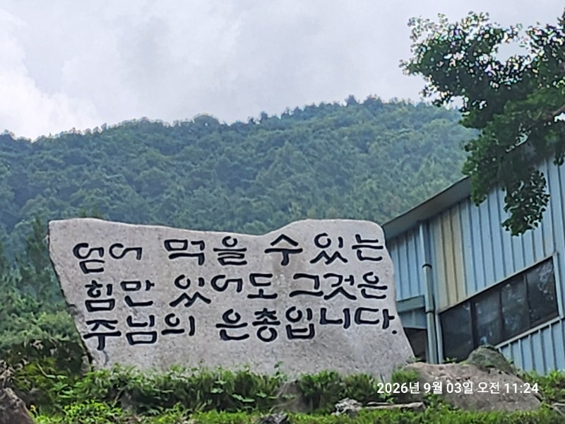 KakaoTalk_20260903_142406839_24.jpg